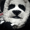avatar of Panda Bear