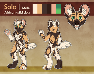 [C]Solo reference sheet