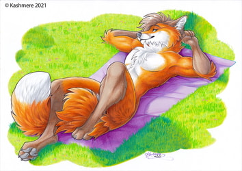 Sunbathing fox