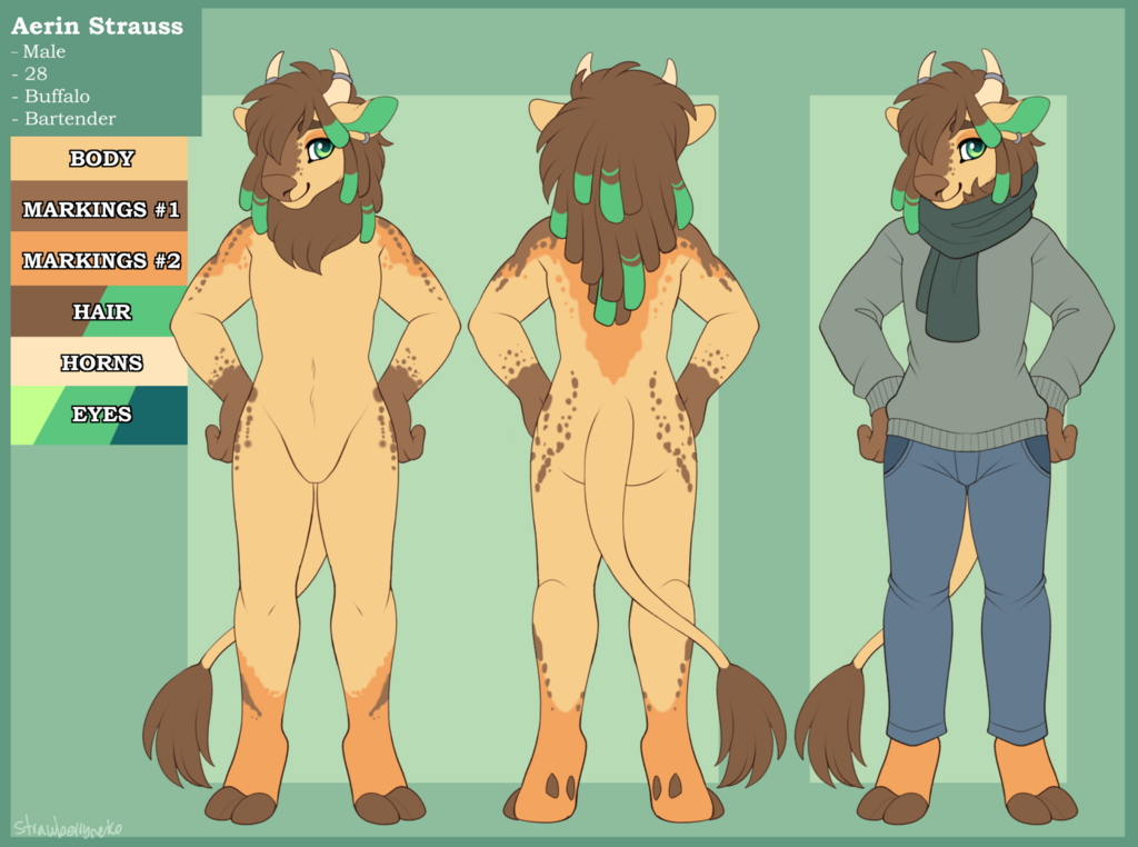 Aerin Ref Sheet - Commission