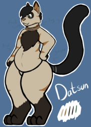 Datsun Cat