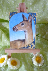 Whitetail Doe ACEO