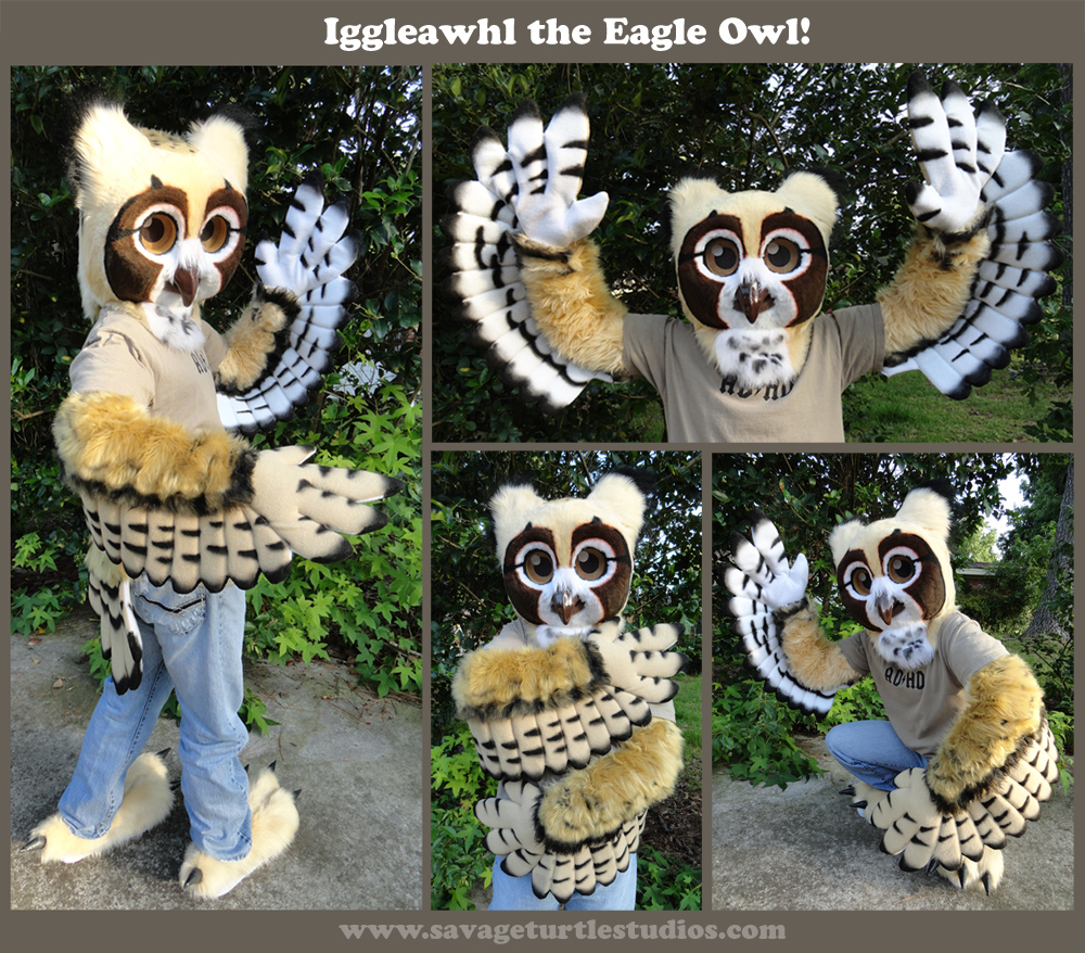 Iggleawhl the Eagle Owl -- 2012