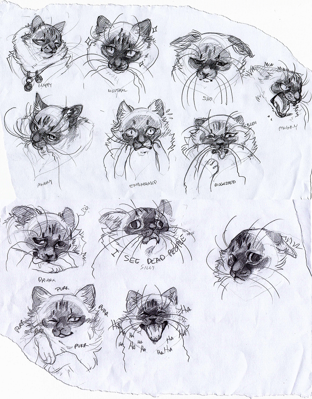 Expressions of a cat