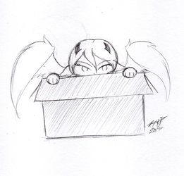 Gift: Fox in a Box