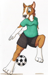 Bull Terrier Soccer