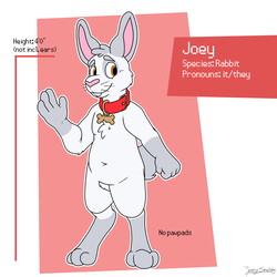 Joey Bunny Form Reference Sheet