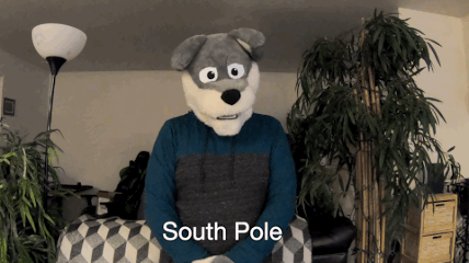 "South pole" ASL gif