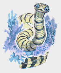 Coral Sea Snake