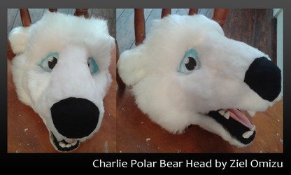 Charlie Polar Bear Head