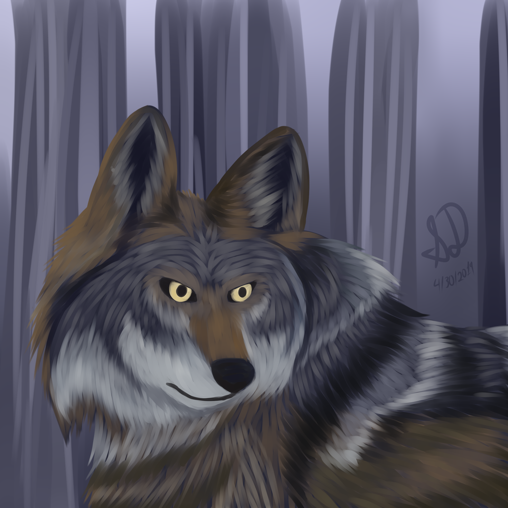 Somewhat Realistic: Mexican Wolf
