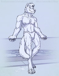 Wolf by the Pool [Redraw Meme Solo]