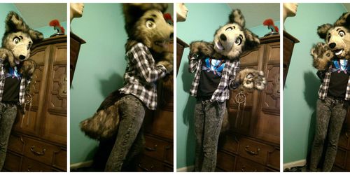 Coyote/Brown Wolf Partial AUCTION