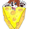 avatar of cheesebeagle