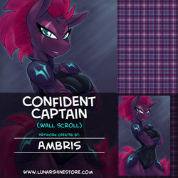 Confident Captain by Ambris