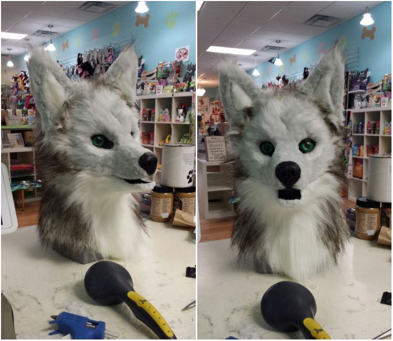 COYOTE (wip) - for sale