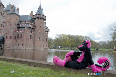 Pinky's Castle