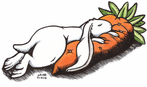 Comfy Carrot Dreams