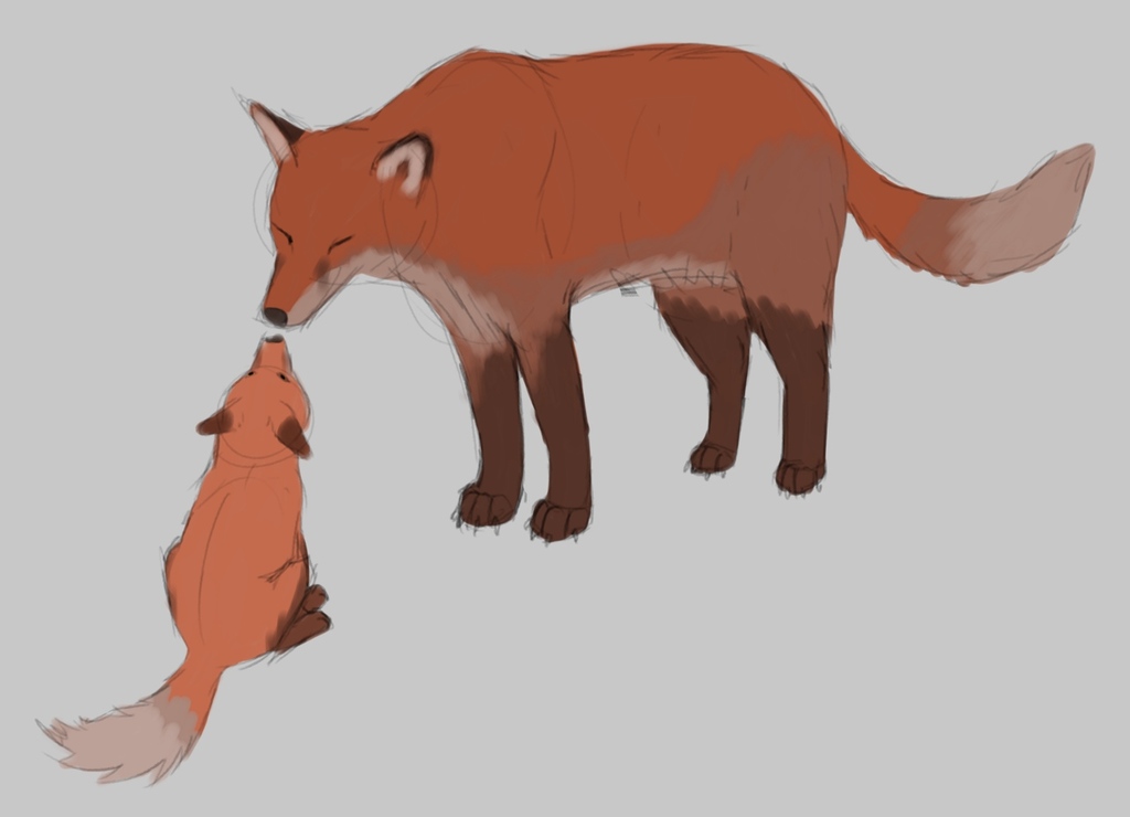 Most recent image: foxes