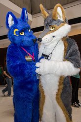 Noes to Noes - MFF 2013