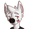 avatar of miyau