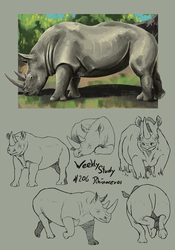 WeeklyStudies #206 Rhinoceros