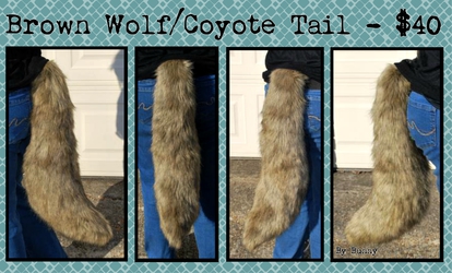 Brown Wolf/Coyote Tail - $40