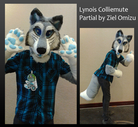 Lynois Colliemute Partial