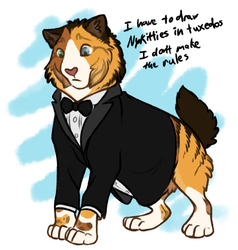 tuxedo kitty except it’s literally a tuxedo