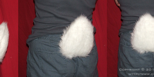 White Rabbit Tail