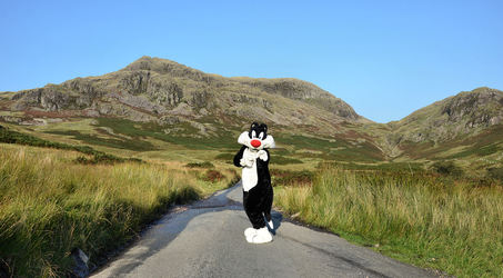 Sylvester in the Hills #2