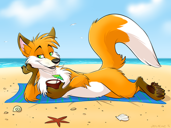 Summer-fox drawn by Galeb 