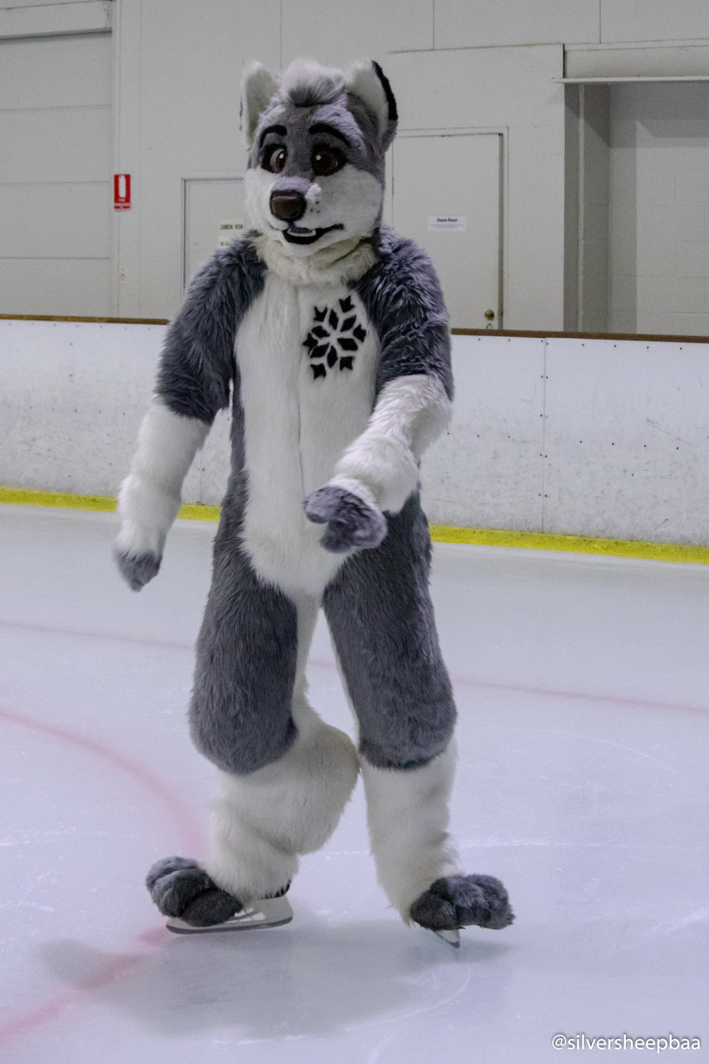Furries on Ice 2018: Arti Husky 3
