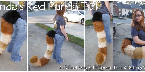 [C] Amanda's Red Panda Tail