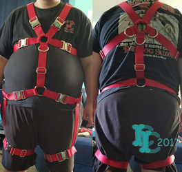 Red Harness with Leg Straps