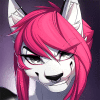 avatar of AikoXSnowFA