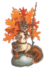 Pin Oak Squirrel