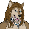 avatar of Wolf-Bone