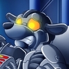 avatar of bungle_bear