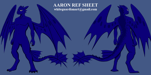 Aaron Ref Sheet