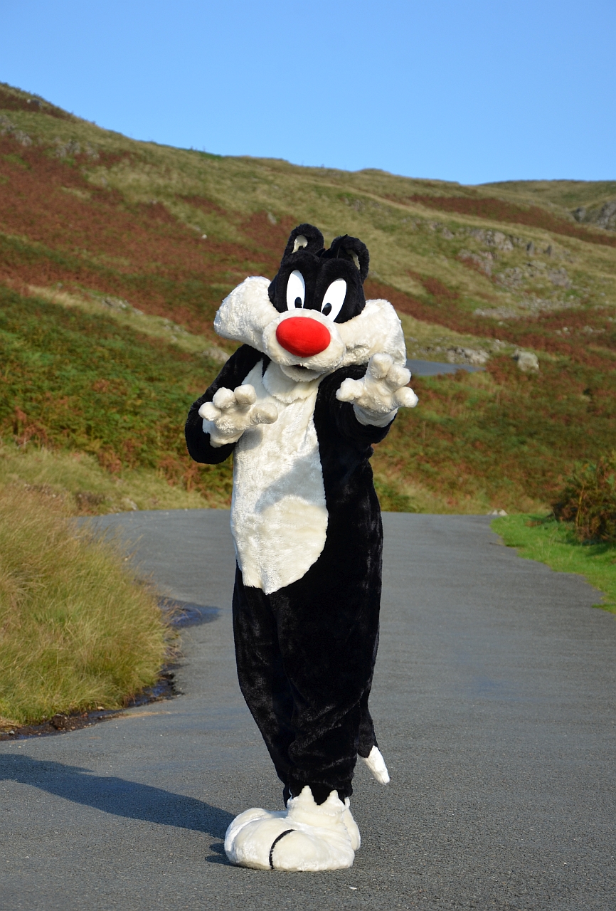 Sylvester in the Hills #1