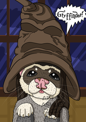 Ferret in the Sorting Hat