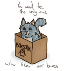 You wont be the only one who likes our boxes