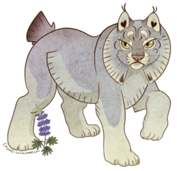 Lupine Lynx