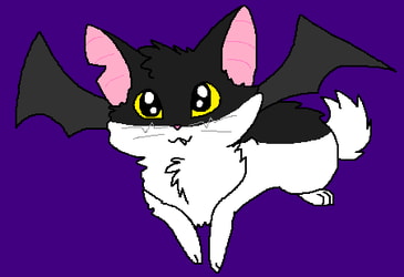Kiki The Batcat