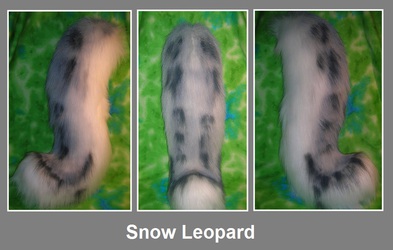 First ever snow mew tail