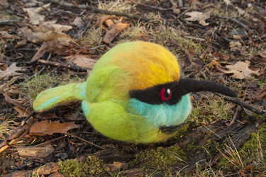 Bee-eater Ball