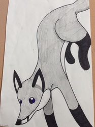 Old Drawing of a Fox