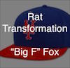 The Fox and the Batting Practice Cap