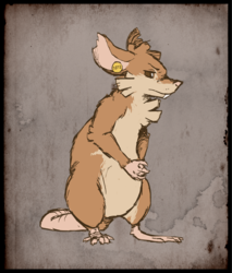 Mir the rat